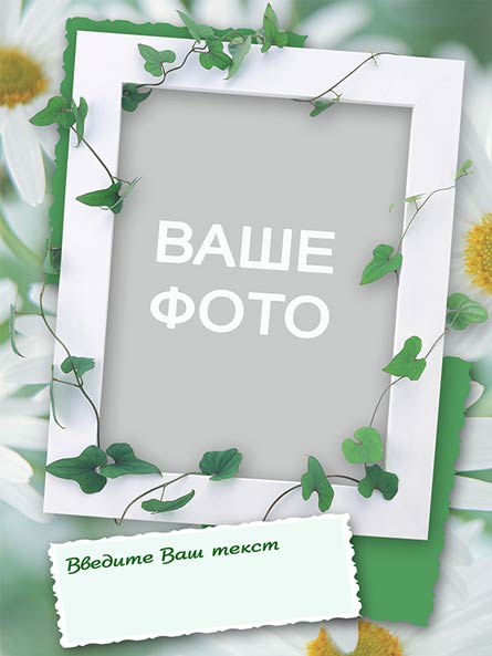 Открытка универсальная - шаблон (PSD)